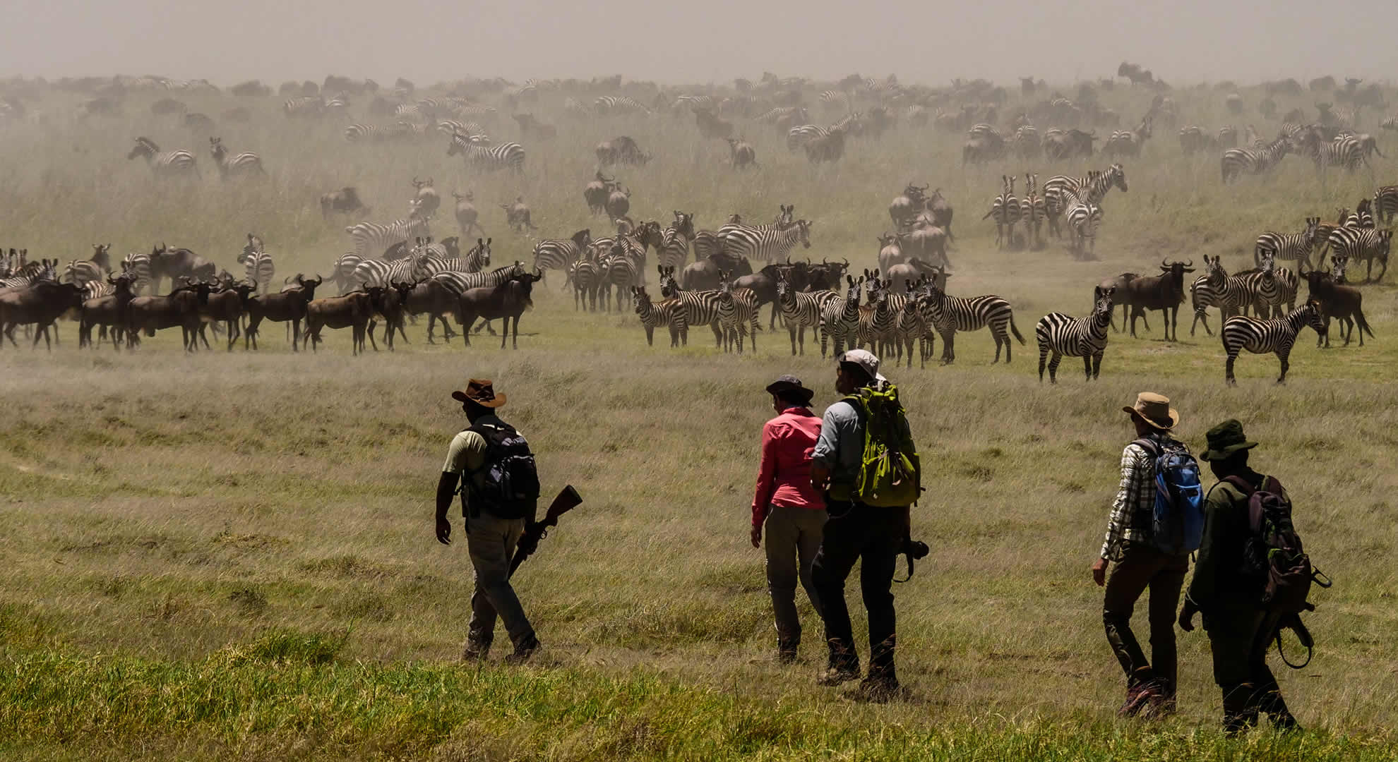 walking safaris