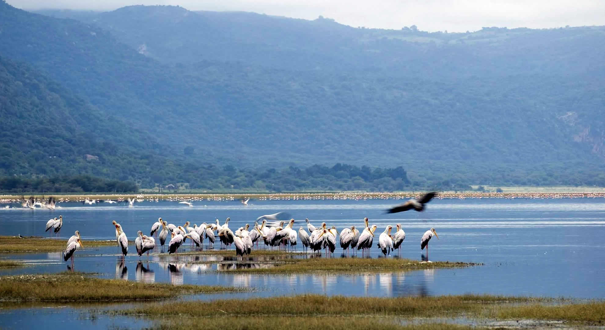 lake manyara